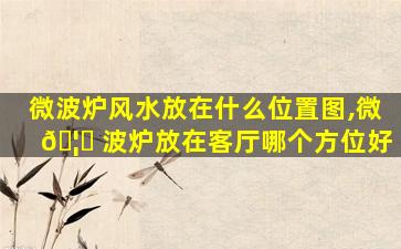 微波炉风水放在什么位置图,微 🦟 波炉放在客厅哪个方位好